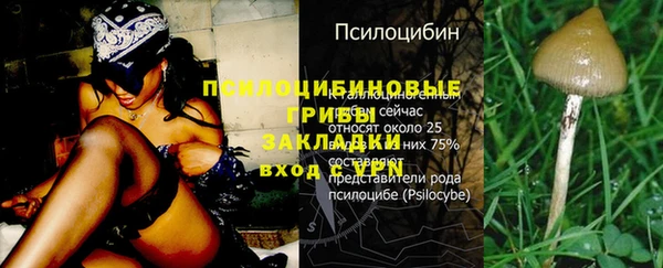 винт Алексин