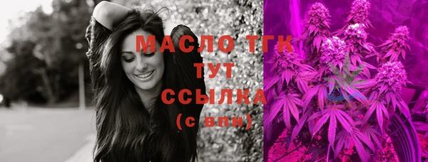 индика Ветлуга