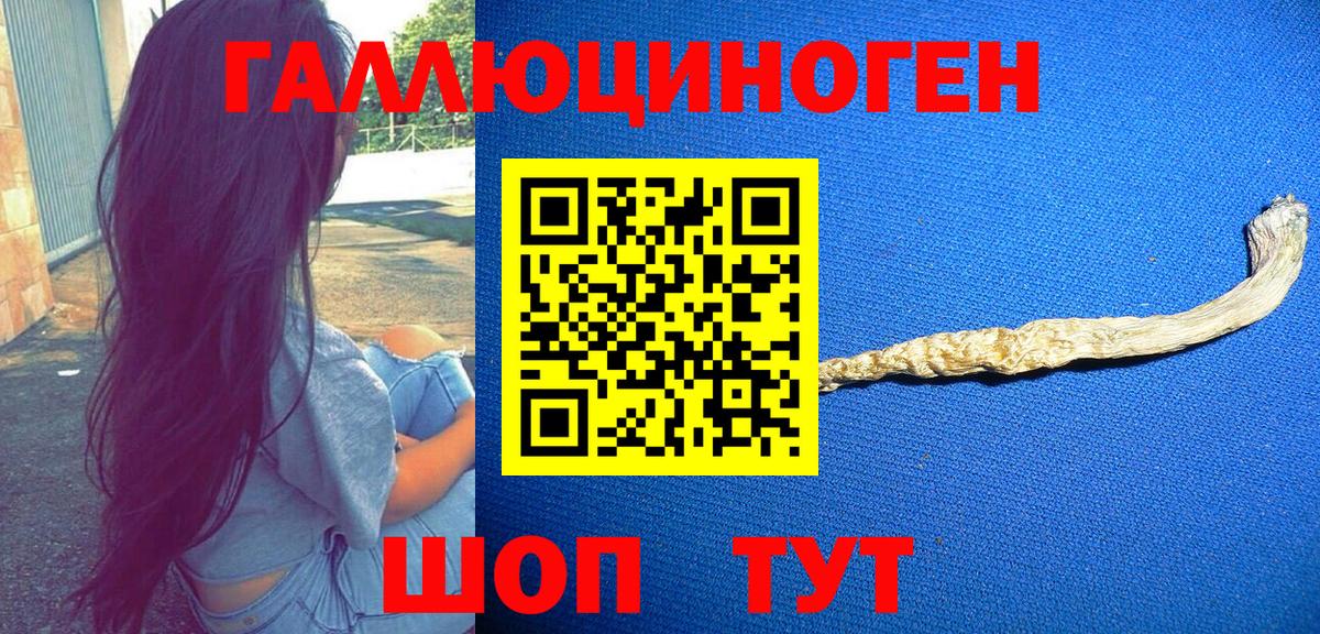 Псилоцибиновые грибы Psilocybe  Вход с VPN  Лянтор  Галлюциногенные грибы MAGIC MUSHROOMS 